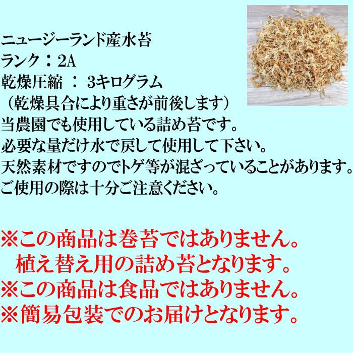 水苔3kg ニュージーランド産 【2A】【AA】 水苔 販売 胡蝶蘭 洋蘭 など