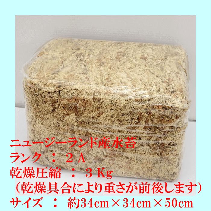 水苔3kg ニュージーランド産 【2A】【AA】 水苔 販売 胡蝶蘭 洋蘭 など