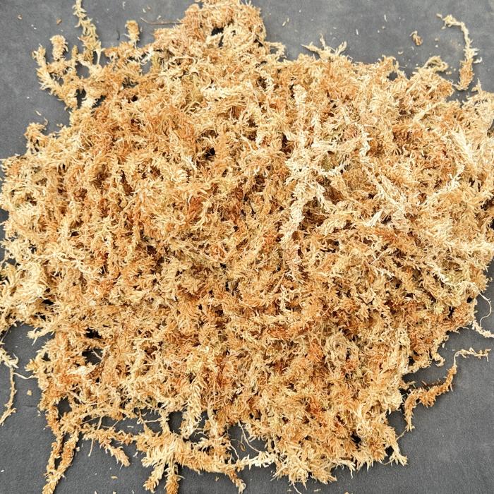 水苔3kg ニュージーランド産 【2A】【AA】 水苔 販売 胡蝶蘭 洋蘭 など