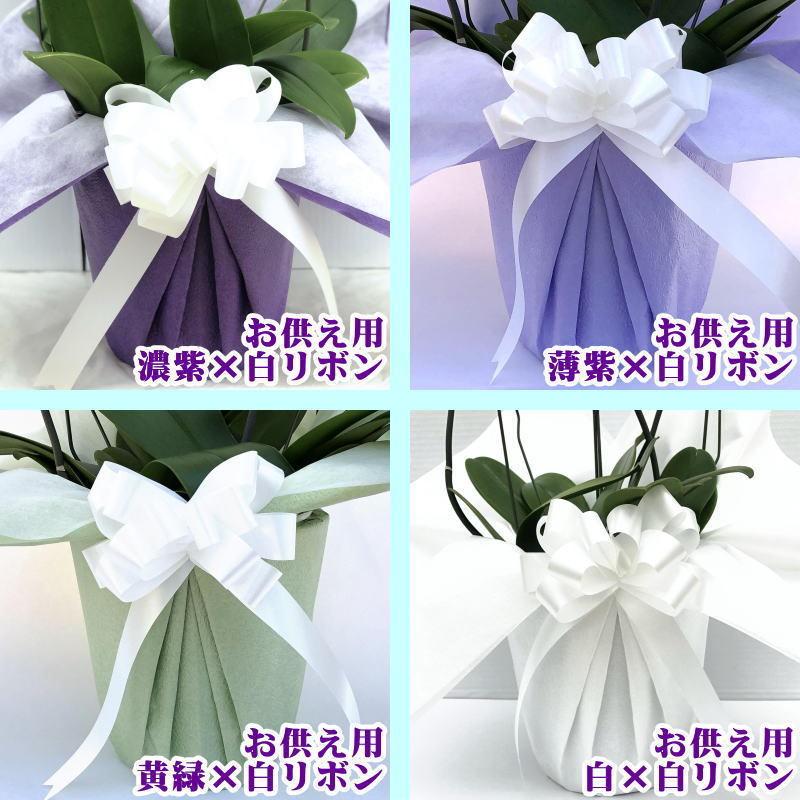 胡蝶蘭 お供え 御供 大輪 白 3本立ち 24〜25輪 仏花 献花 お盆 お彼岸 花 供花 お悔やみ 枕花 新盆 葬儀 告別式 法要 仏事 命日 ご供養 胡蝶蘭 :kotyouran-osonae-3f-10000-2:胡蝶蘭専門店フォレストナーサリー - 通販 - Yahoo!ショッピング 胡蝶蘭 お供え 御供 大輪 白 3本立ち 24〜25輪 仏花 献花 お盆 お彼岸 花 供花 お悔やみ 枕花 新盆 葬儀 告別式 法要 仏事 命日 ご供養 胡蝶蘭 :kotyouran-osonae-3f-10000-2:胡蝶蘭専門店フォレストナーサリー - 通販 - Yahoo!ショッピング