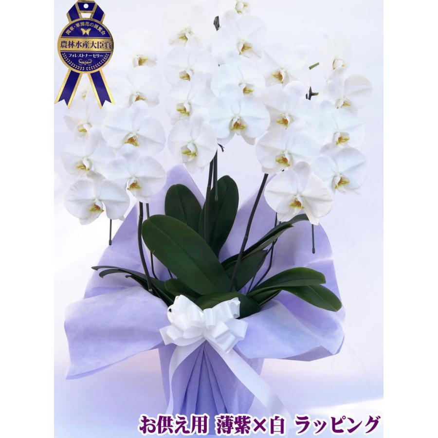 胡蝶蘭 お供え 御供 大輪 白 3本立ち 24〜25輪 仏花 献花 お盆 お彼岸 花 供花 お悔やみ 枕花 新盆 葬儀 告別式 法要 仏事 命日 ご供養 胡蝶蘭 :kotyouran-osonae-3f-10000:胡蝶蘭専門店フォレストナーサリー - 通販 - Yahoo!ショッピング 胡蝶蘭 お供え 御供 大輪 白 3本立ち 24〜25輪 仏花 献花 お盆 お彼岸 花 供花 お悔やみ 枕花 新盆 葬儀 告別式 法要 仏事 命日 ご供養 胡蝶蘭 :kotyouran-osonae-3f-10000:胡蝶蘭専門店フォレストナーサリー - 通販 - Yahoo!ショッピング