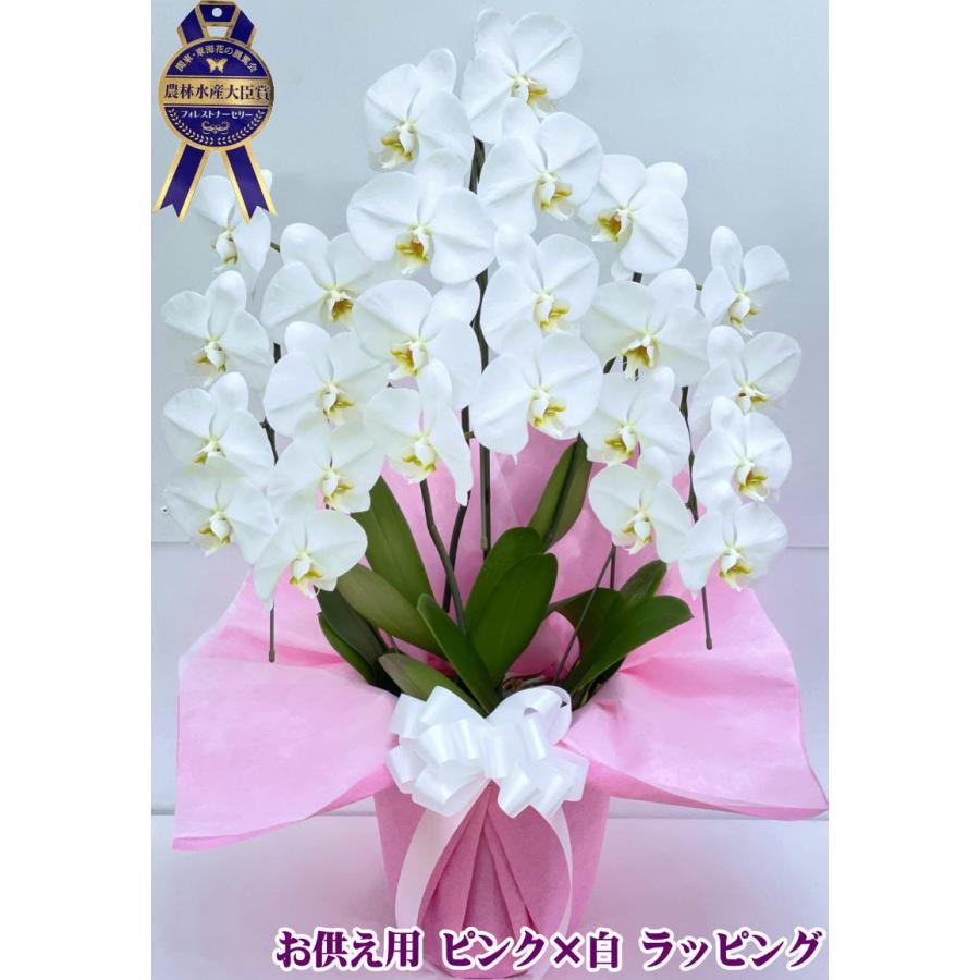 胡蝶蘭 お供え 御供 大輪 白 3本立ち 24〜25輪 仏花 献花 お盆 お彼岸 花 供花 お悔やみ 枕花 新盆 葬儀 告別式 法要 仏事 命日 ご供養 胡蝶蘭 :kotyouran-osonae-3f-10000:胡蝶蘭専門店フォレストナーサリー - 通販 - Yahoo!ショッピング 胡蝶蘭 お供え 御供 大輪 白 3本立ち 24〜25輪 仏花 献花 お盆 お彼岸 花 供花 お悔やみ 枕花 新盆 葬儀 告別式 法要 仏事 命日 ご供養 胡蝶蘭 :kotyouran-osonae-3f-10000:胡蝶蘭専門店フォレストナーサリー - 通販 - Yahoo!ショッピング