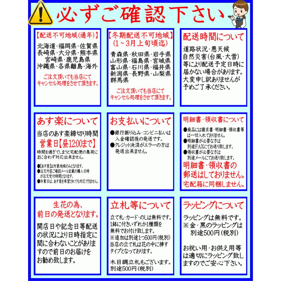 胡蝶蘭 お供え 御供 大輪 白 3本立ち 24〜25輪 仏花 献花 お盆 お彼岸 花 供花 お悔やみ 枕花 新盆 葬儀 告別式 法要 仏事 命日 ご供養 胡蝶蘭 :kotyouran-osonae-3f-10000:胡蝶蘭専門店フォレストナーサリー - 通販 - Yahoo!ショッピング 胡蝶蘭 お供え 御供 大輪 白 3本立ち 24〜25輪 仏花 献花 お盆 お彼岸 花 供花 お悔やみ 枕花 新盆 葬儀 告別式 法要 仏事 命日 ご供養 胡蝶蘭 :kotyouran-osonae-3f-10000:胡蝶蘭専門店フォレストナーサリー - 通販 - Yahoo!ショッピング
