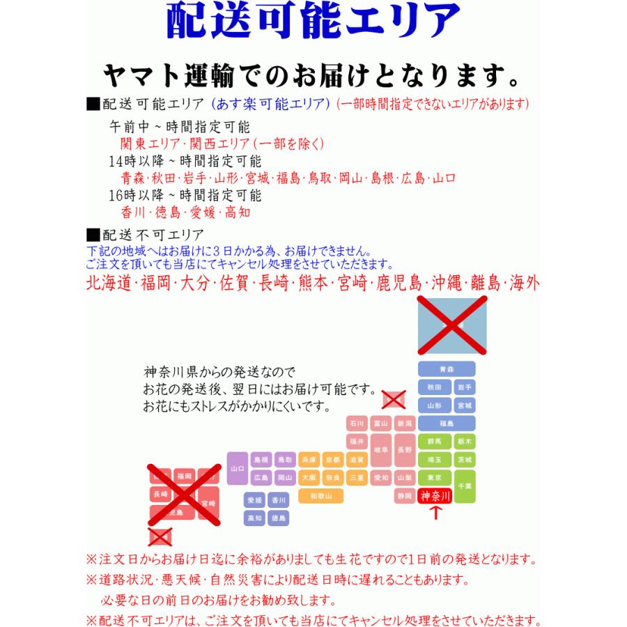 胡蝶蘭 お供え 大輪 白 3本立ち 24 27輪 仏花 献花 お盆 お彼岸 花 供花 お悔やみ 枕花 新盆 葬儀 告別式 法要 仏事 命日 ご供養 胡蝶蘭 Kotyouran Osonae 3f 胡蝶蘭専門店フォレストナーサリー 通販 Yahoo ショッピング