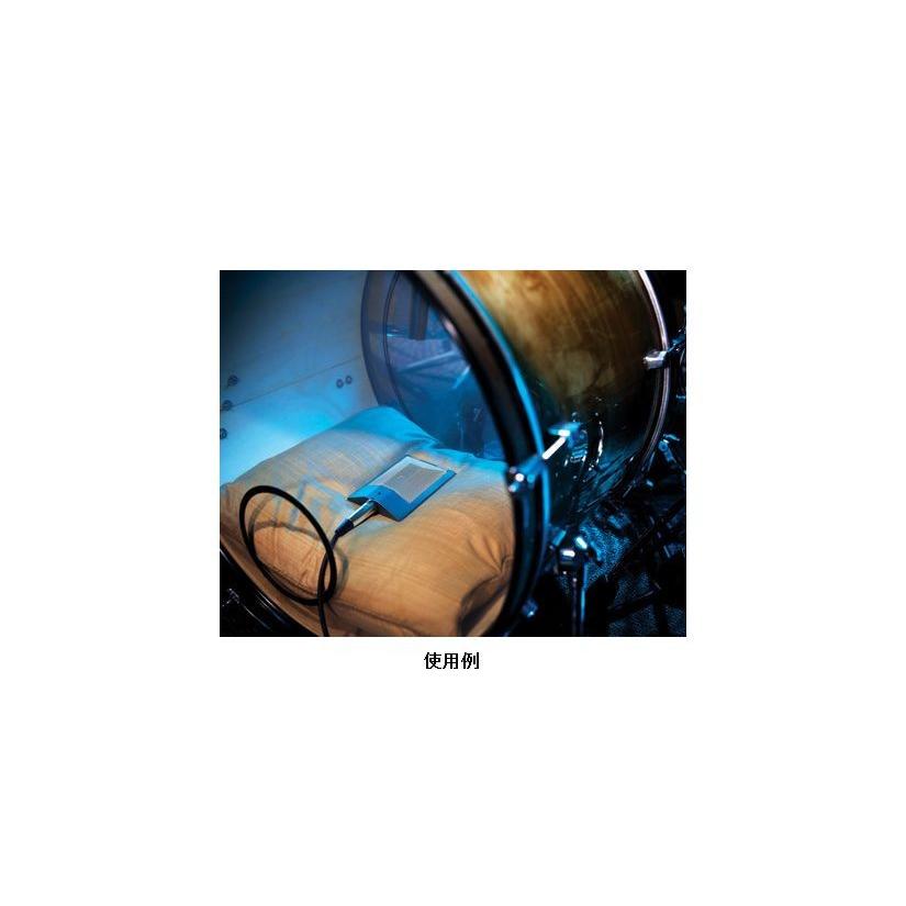SHURE（シュア） SHURE（シュアー） BETA91A : フォレスト - 通販