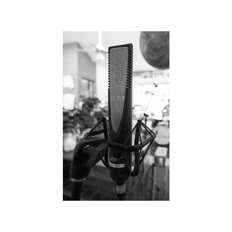 SE ELECTRONICS(エスイーエレクトロニクス) RNR1