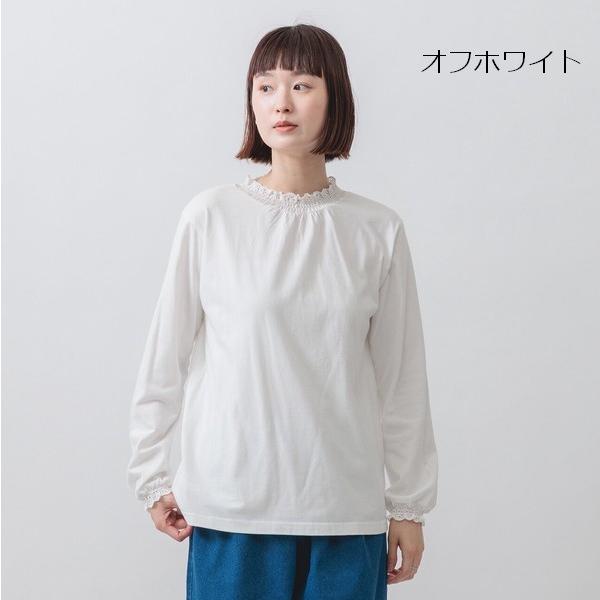 m.m.o レース襟長袖シャーリングトップス カットソー tシャツ レース