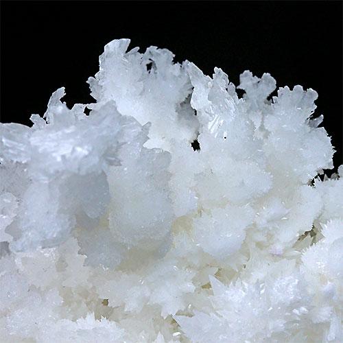 〔D255-30〕珍しい 極上品 アラゴナイト フロスフェリ 鉄の華 蛍光鉱物 メキシコ・チワワ州産 結晶 原石 標本【メール便不可】の画像