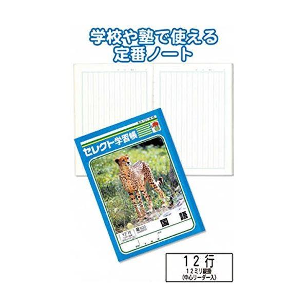 学習帳K-15国語 縦罫12行 〔10個セット〕 31-378｜forest-wakaba