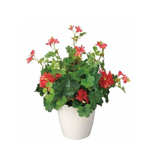 即納最大半額 観葉植物 フェイクグリーン ゼラニューム 日本製 光触媒 消臭 抗菌 ホルムアルデヒド対策 光の楽園 リビング 代引不可 Ds 埼玉まごころ通販センター 通販 Yahoo ショッピング 正規品 Jeannesauve Org