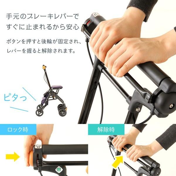 超軽量シルバーカー/手押し車 〔コンパクトタイプ〕 バック付き 幸和製作所 『テイコブナノン』 フラワーブラック 超軽量シルバーカー/手押し車 バック付き 幸和製作所 『テイコブナノン』 フラワーブラック