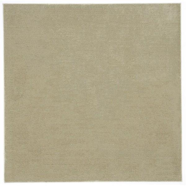 防炎＆防音 ナイロンラグ/絨毯 〔200cm×250cm ベージュ〕 長方形 日本製 スミノエ 『カーム』 〔リビング〕〔代引不可〕