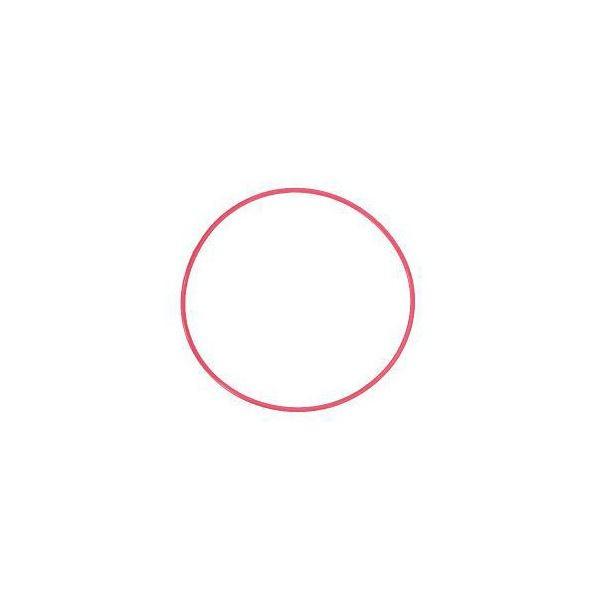 （まとめ） OLYMPUS Oリング POLE301 POLE301 〔×2セット〕