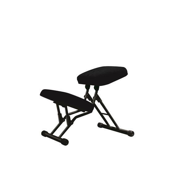学習椅子/ワークチェア 〔ブラック×ブラック〕 幅440mm 日本製 折り畳み スチールパイプ〔代引不可〕