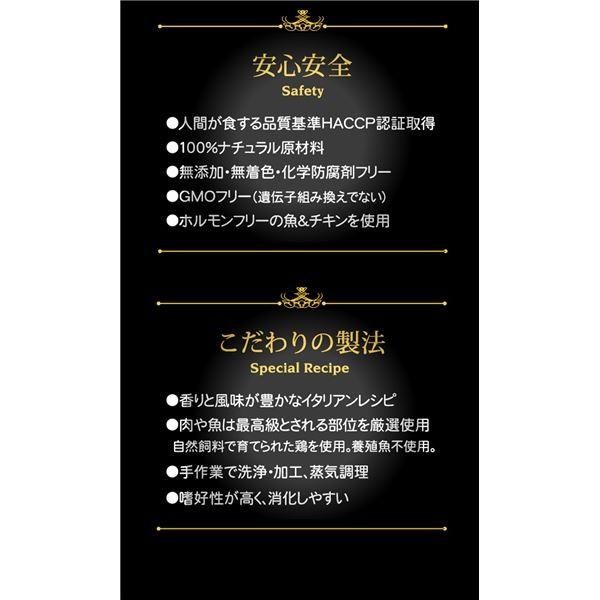 〔まとめ〕 ペットフード シシア キャットフード チキンフィレ 85g 56セット 猫用品 ペット用品〔代引不可〕 ペットフード キャットフード 猫用品 〔まとめ〕 シシア チキンフィレ 85g 56セット ペット用品