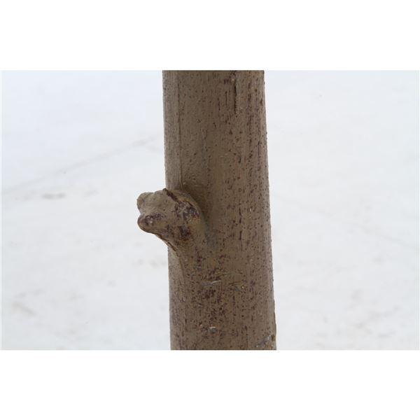 観葉植物 造花 幅80×奥行80×高さ155cm フィカス カシワバゴム インテリアグリーン リビング ダイニング インテリア雑貨〔代引不可〕 観葉植物 造花 インテリアグリーン リビング 幅80×奥行80×高さ155cm フィカス カシワバゴム ダイニング インテリア雑貨