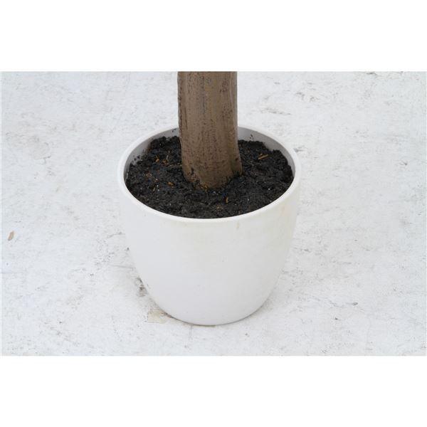 観葉植物 造花 幅80×奥行80×高さ155cm フィカス カシワバゴム インテリアグリーン リビング ダイニング インテリア雑貨〔代引不可〕 観葉植物 造花 インテリアグリーン リビング 幅80×奥行80×高さ155cm フィカス カシワバゴム ダイニング インテリア雑貨