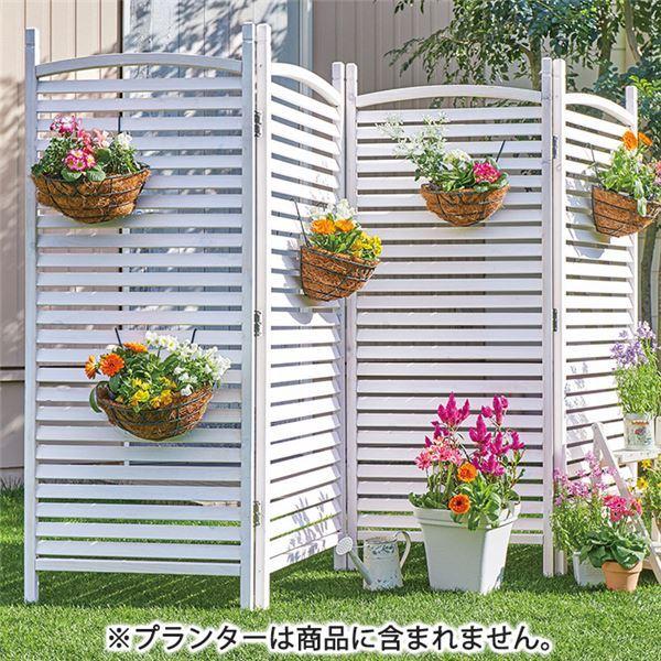 ガーデン パーテーション/衝立 〔4連 ルーバータイプ ホワイトウォッシュ〕 約幅60cm 天然木 杉材 完成品 〔エクステリア 庭〕(14840円)