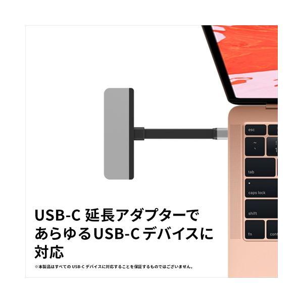 HYPER HyperDrive iPad Pro専用 6-in-1 USB-C Hub シルバー HP16176｜forest-wakaba｜05