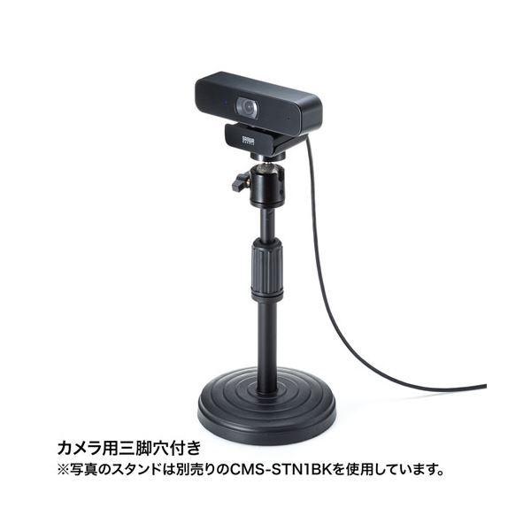 サンワサプライ ステレオマイク内蔵WEBカメラ CMS-V64BK CMS V64BK サンワサプライ ステレオマイク内蔵WEBカメラ