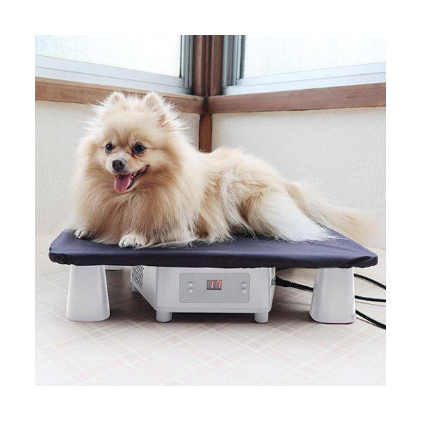 サンコー アニマル冷温プレート ペットコの間 PECLPLHWH PECLPLHWH サンコー アニマル冷温プレート ペットコの間