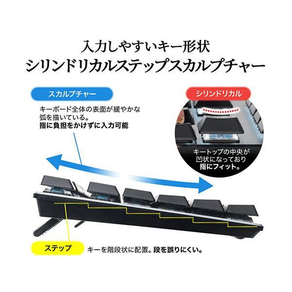 大流行中！ サンワダイレクト メカニカルキーボード(青軸・Nキーロールオーバー・テンキーレス・バックライト搭載) 400-SKB057BL 1台