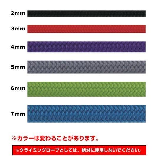 エーデルワイス EDELWEISS パワーロープ 7mm×60m : フォレスト 