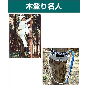 木登り名人 1セット6ステップ入 / 木登り道具 : フォレスト・ワールド