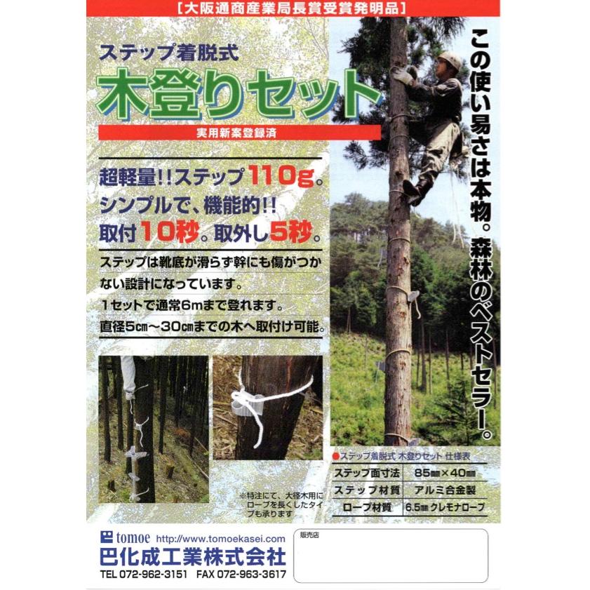 木登り 2026.4 特殊のための木登り研究