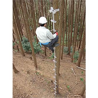 ロッキーラダー 2EX-V【特別仕様】LW-400EX-V(両足ステップタイプ