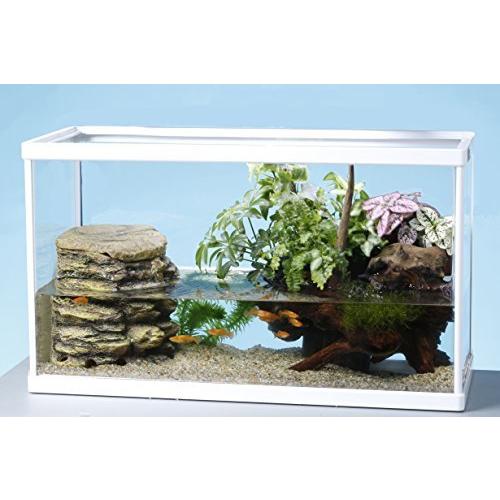 割引クーポン メダカ 金魚 熱帯魚 アクアリウム 水槽 Wa 5tf アクアテラリウムセット テトラ Tetra テトラ 観賞魚生体 Www Festivaldechaillol Com