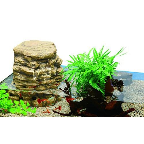 定番のお歳暮 水槽 Wa 5tf アクアテラリウムセット テトラ Tetra テトラ アクアリウム メダカ 金魚 熱帯魚 観賞魚生体