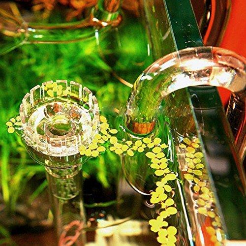 Redberyl 油膜 除去 サーフェース スキマー リリィ クリア ガラス セット アクアリウム 水草 水槽 熱帯魚 サーフェース セット リリィ Xzqtxvo5bb Www Alefbet Org Br