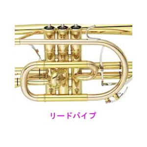 YAMAHA（ヤマハ） コルネット B♭ YCR-8335S【Neoシリーズ】 スタンド