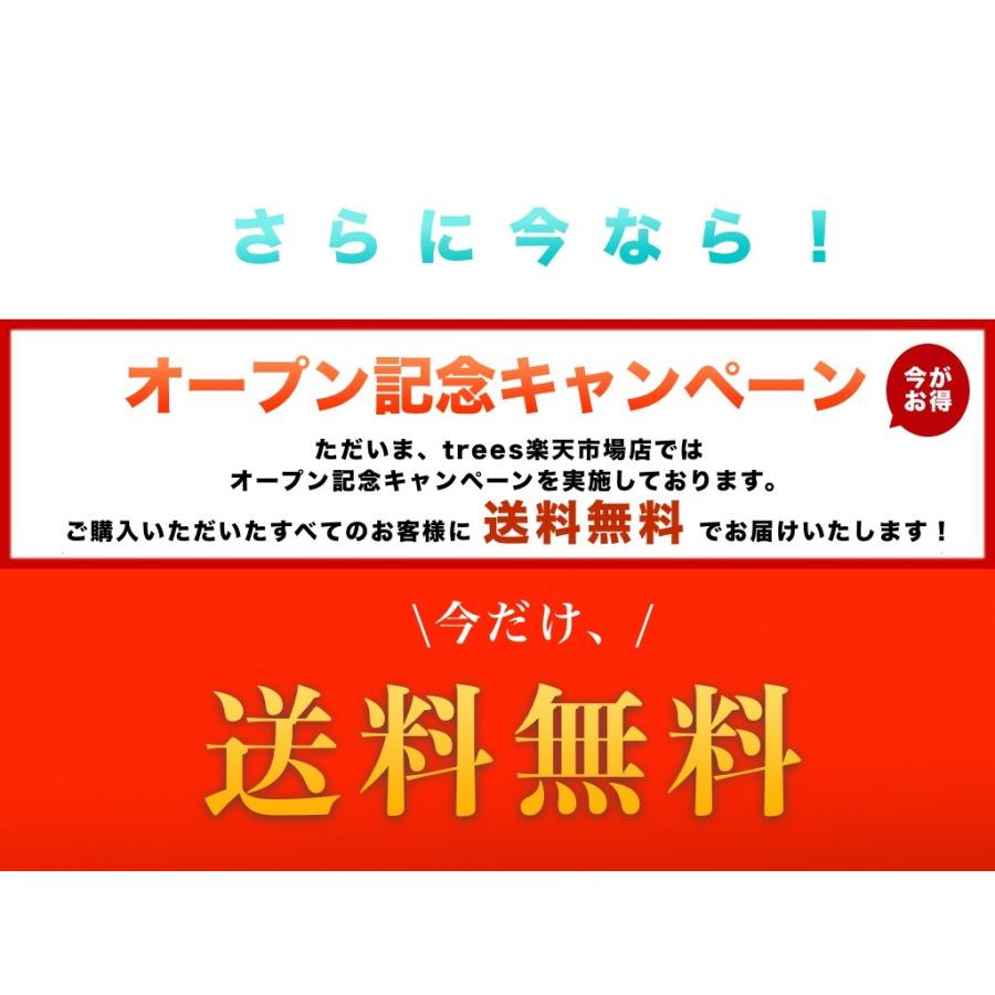 燻製器 スモーキングガン \雑誌掲載 プロも使用/ 簡単 スモーク風味 冷燻 薫製 縦型 コンパクト スモーカー 燻製機 日本正規保証  BKLN DINER｜forestoyc｜09