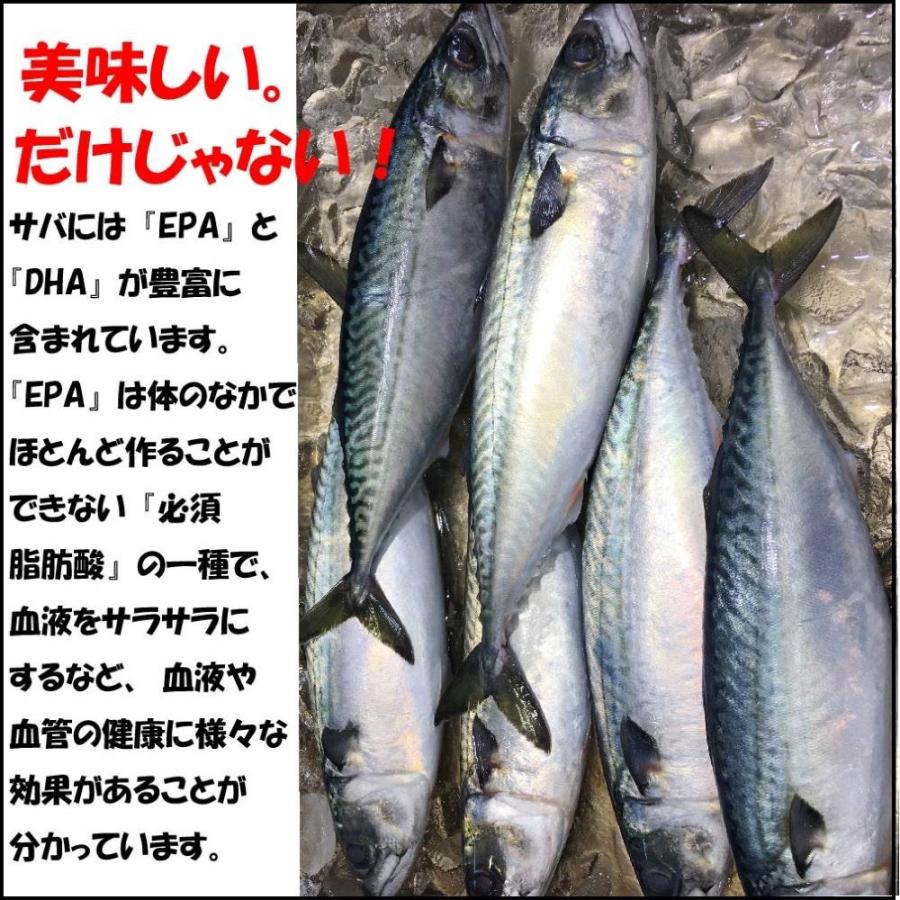 姫サバ 1尾分 柵どり4本 １尾 700g前後 刺身 切り身 最安値に挑戦 生食可 フィレ 産地直送 海産物 海鮮 ブランド 刺し身 切身 鯖