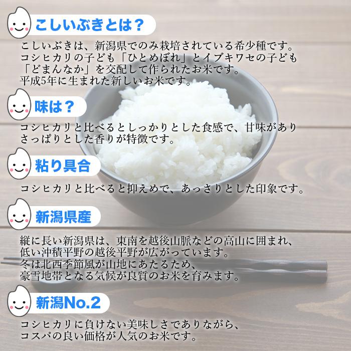 1194円 89%以上節約 こしいぶき 10kg 5kg 2 令和3年産 無洗米 新潟県産 米 お米 白米 おこめ 精米 単一原料米 ブランド米 10キロ 送料無料 国内産 国産 1194円 89%以上節約 こしいぶき 10kg 5kg 2 令和3年産 無洗米 新潟県産 米 お米 白米 おこめ 精米 単一原料米 ブランド米 10キロ 送料無料 国内産 国産