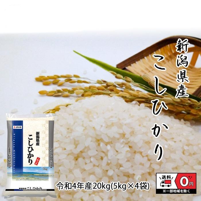 令和4年度産新潟県産コシヒカリ 精米20キロ-