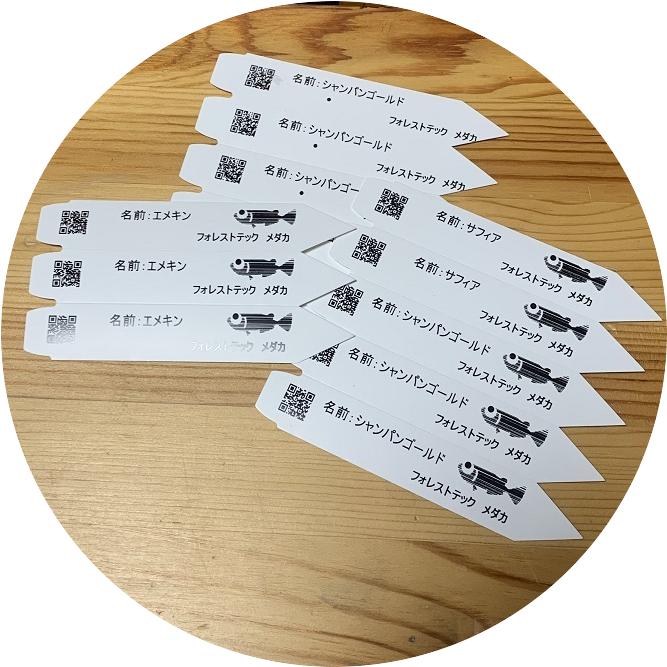 ポット用タグ（名札）スターターキットB |  | 01