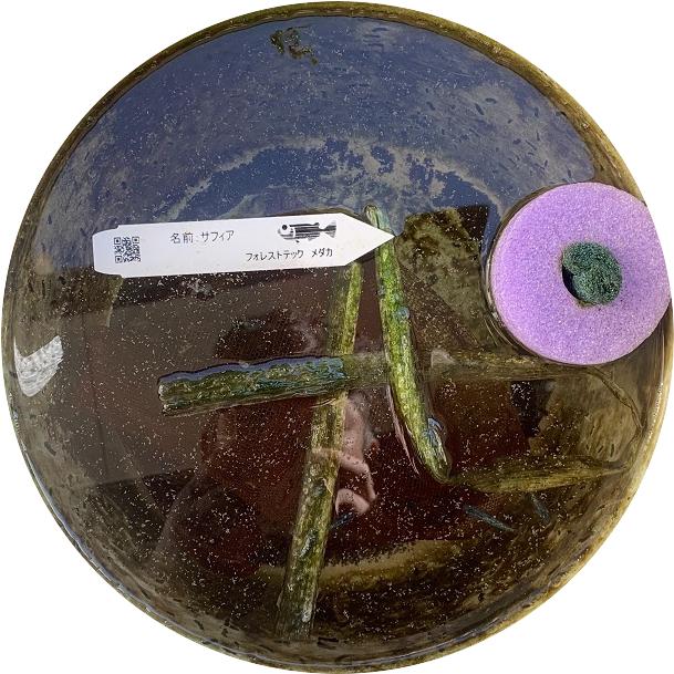 ポット用タグ（名札）スターターキットB |  | 02