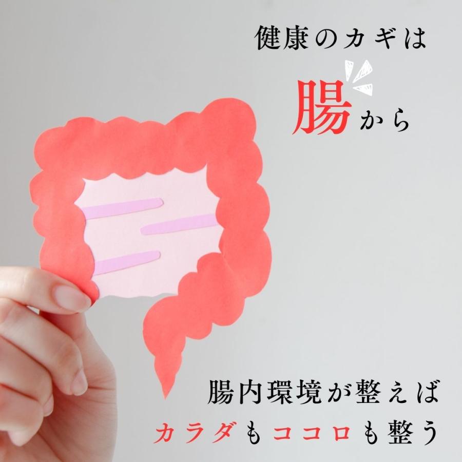 BIFIRAL ビフィラル 生きた乳酸菌 30粒 乳酸菌 ビフィズス菌 酪酸菌 オリゴ糖 約4.5兆個 ヨーグルト 450個分 プロバイオティクス 腸活 便秘対策 サプリ |  | 02