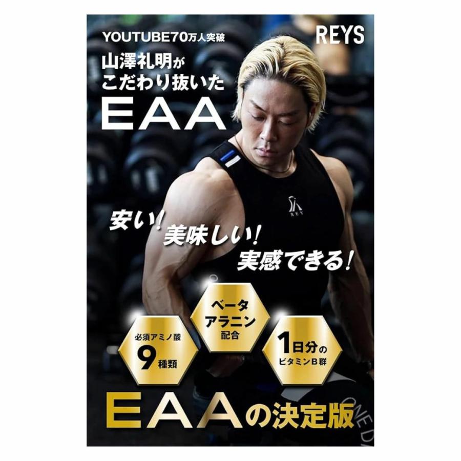 REYS レイズ EAA eaa サプリメント 必須アミノ酸 9種配合 600g 栄養機能食品 粉末 1日分のビタミンB群 3種配合 山澤礼明 送料無料 REYSシリーズ 1o1c |  | 04