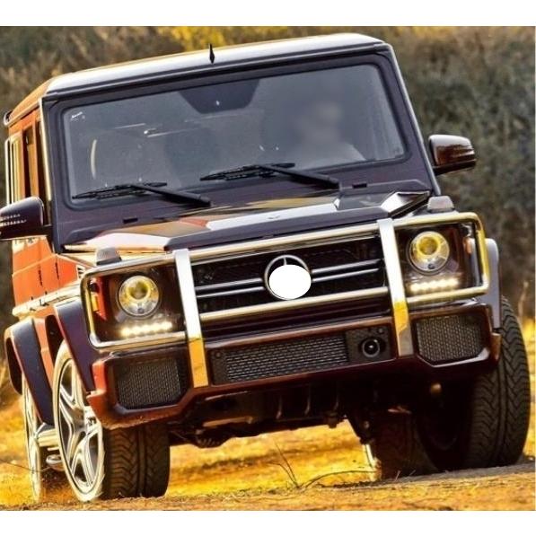 BENZ ベンツ Gクラス W463 ヘッドライト ガード グリル ガード