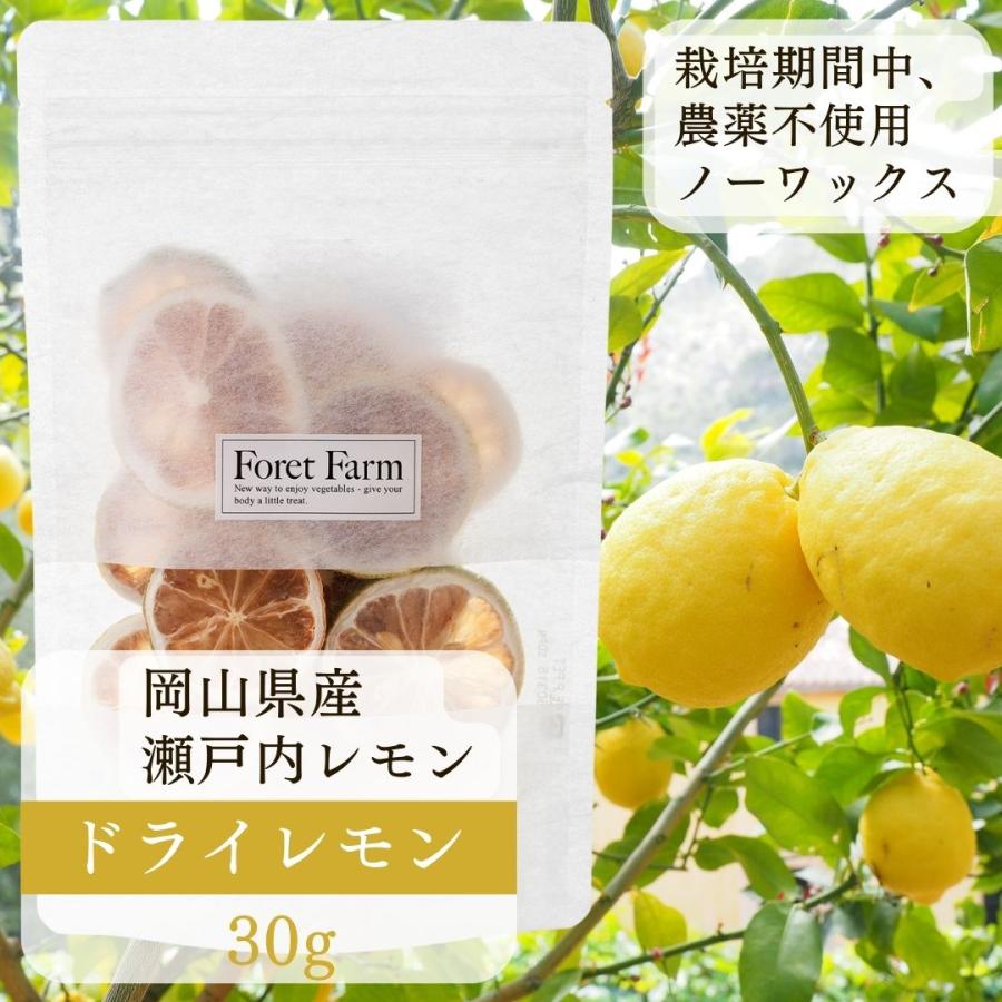 岡山県産 無農薬ドライレモン 30g 農家直送 無農薬 ノーワックス 無