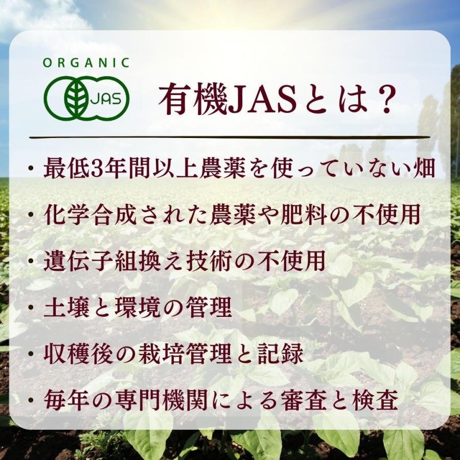 岡山県 有機JAS 黄金唐辛子一味唐辛子 80g 無農薬 無化学肥料 鷹の爪 一味唐辛子 七味唐辛子 唐辛子 キムチ鍋 キムチ　国産　激辛 |  | 11