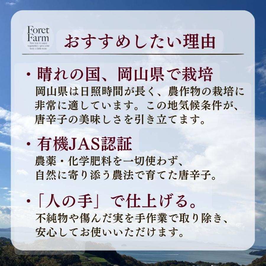 岡山県 有機JAS 黄金唐辛子一味唐辛子 80g 無農薬 無化学肥料 鷹の爪 一味唐辛子 七味唐辛子 唐辛子 キムチ鍋 キムチ　国産　激辛 |  | 02