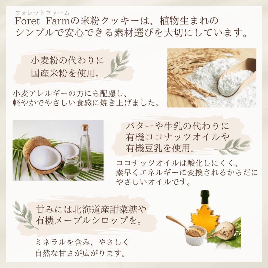 米粉のフロランタン 8個セット ギフト グルテンフリー 米粉 ヴィーガン プラントベース グルテンフリー アレルギーフリーおやつ 低糖質 送料無料 フロランタン |  | 04
