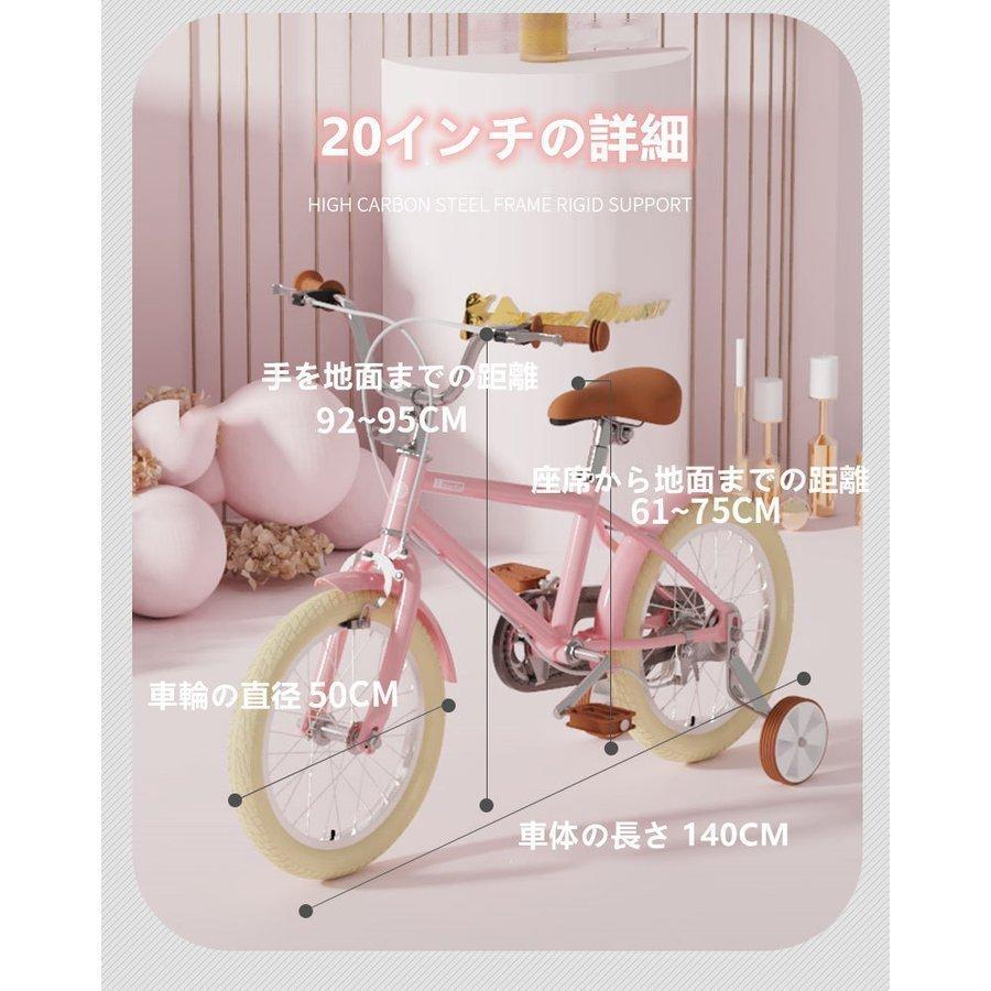 カンパニオール自転車用ギヤランキング