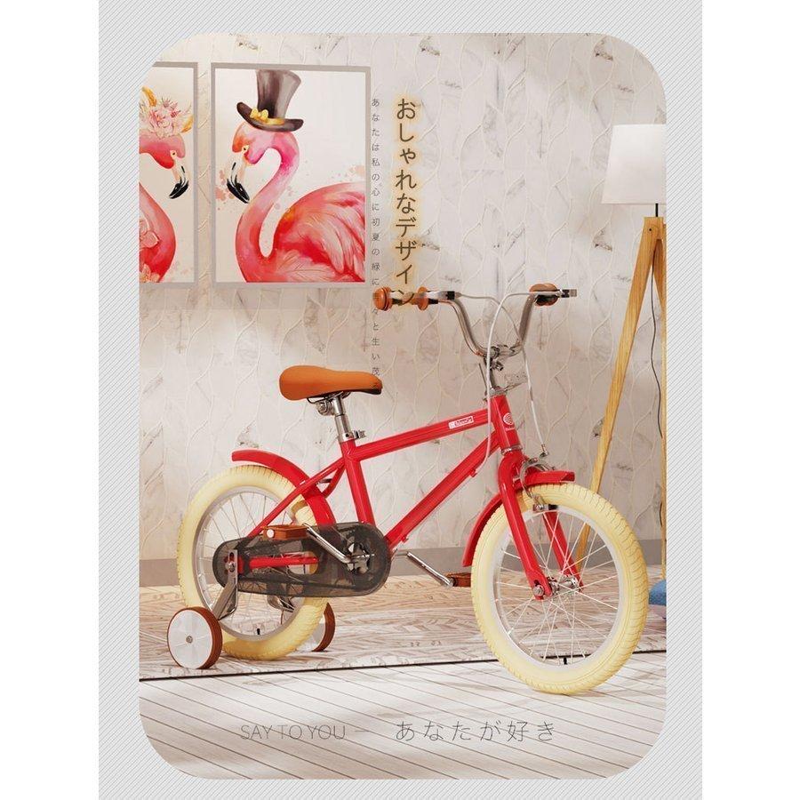 カンパニオール自転車用ギヤランキング