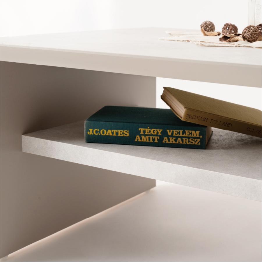 ローテーブル 幅120cm 高さ38cm センターテーブル リビング おしゃれ 収納 大理石調 棚付き てーぶる 大きい モダン シンプル 日本製 国産 グレー form 東谷 | 東谷 | 04